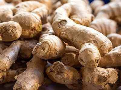 DRY GINGER